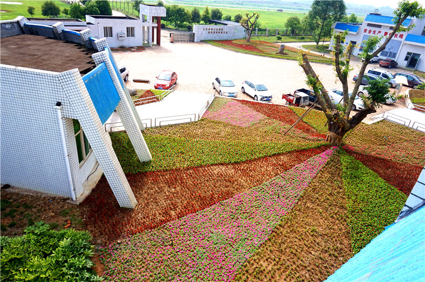 市目標(biāo)督查室督查杰陽(yáng)排水公司“花園式工廠”建設(shè)工作